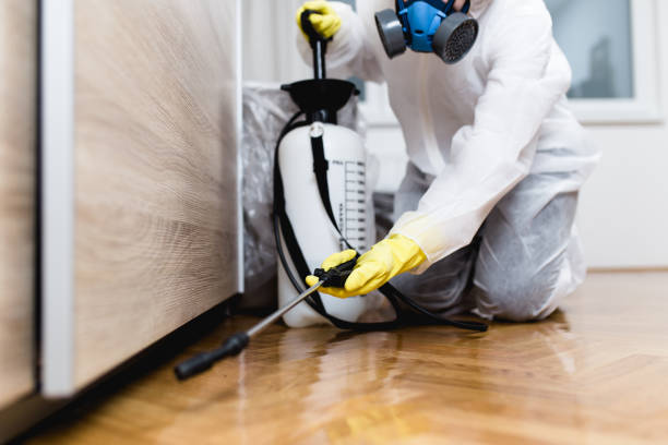 Pest Prevention Services in Gonzales, LA